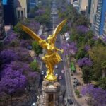 Entrega de Flores a Domicilio en Ciudad de México