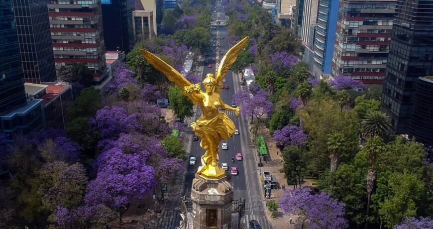Entrega de Flores a Domicilio en Ciudad de México